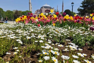 Blue Mosque, Basilica Cistern, Grand Bazaar Guided Tour