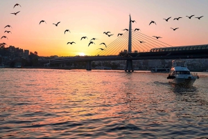 Daytime Bosphorus Yacht Tour with Snacks SMALL GROUPS