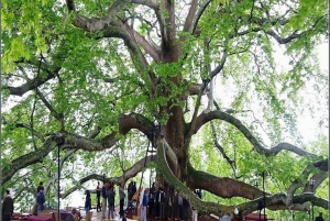 Private Bursa Tour: History, Nature & Culture from Istanbul