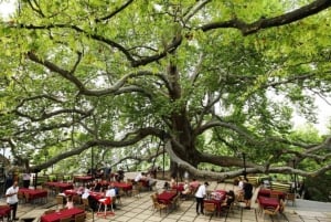 Bursa Full Day Sightseeing Tour from Istanbul