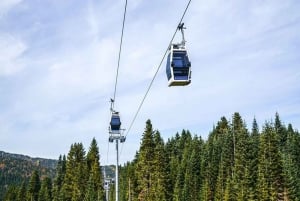 Bursa Nature Tour with Lunch & Cable Car (optional)