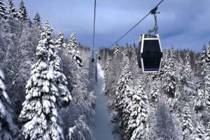 Bursa Nature Tour with Lunch & Cable Car (optional)