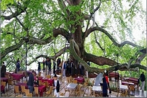 Bursa Nature Tour with Lunch & Cable Car (optional)