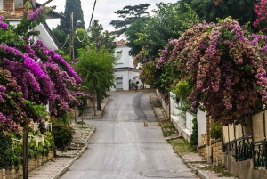 Daily Prince’s Island Tour from Istanbul