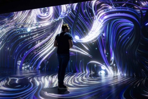 Digital Experience Museum Skip-the-Line Entry