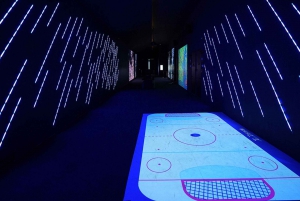 Digital Experience Museum Skip-the-Line Entry