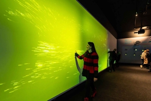 Digital Experience Museum Skip-the-Line Entry