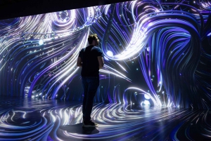 Digital Experience Museum Skip-the-Line Entry