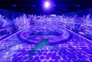 Digital Experience Museum Skip-the-Line Entry