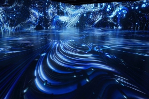 Digital Experience Museum Skip-the-Line Entry