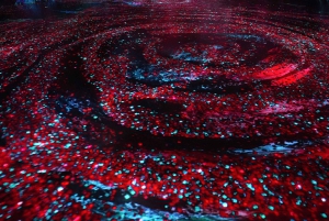 Digital Experience Museum Skip-the-Line Entry