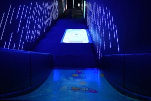 Digital Experience Museum Skip-the-Line Entry