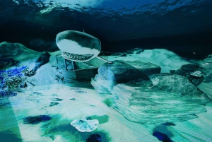 Digital Experience Museum Skip-the-Line Entry