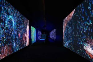 Digital Experience Museum Skip-the-Line Entry