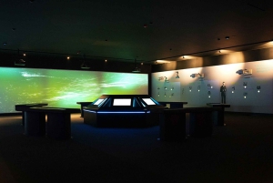 Digital Experience Museum Skip-the-Line Entry