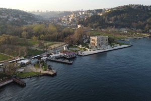 Dolmabahce Palace Ticket & Bosphorus Boat Tour Experience