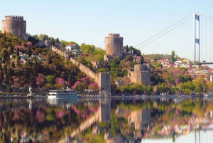 Dolmabahce Palace Ticket & Bosphorus Boat Tour Experience