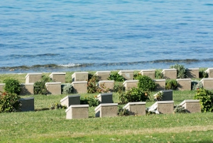 From Istanbul: 2-Day Tour to Gallipoli & Troy