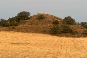From Istanbul: 2-Day Troy and Ephesus Shared Tour with Guide