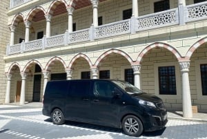 From Istanbul Airport: Layover City Tour with Options