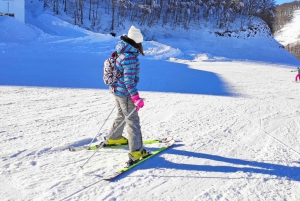 Istanbul: Bursa & Uludag Tour with Lunch & Cable Car Option