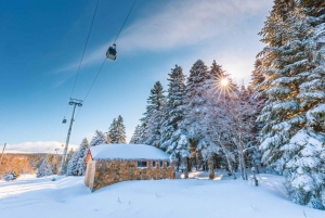 From İstanbul: Bursa Uludağ Mountain Tour & Cable Car Ride