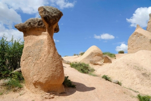 From Istanbul: Cappadocia Day Trip w/Flight