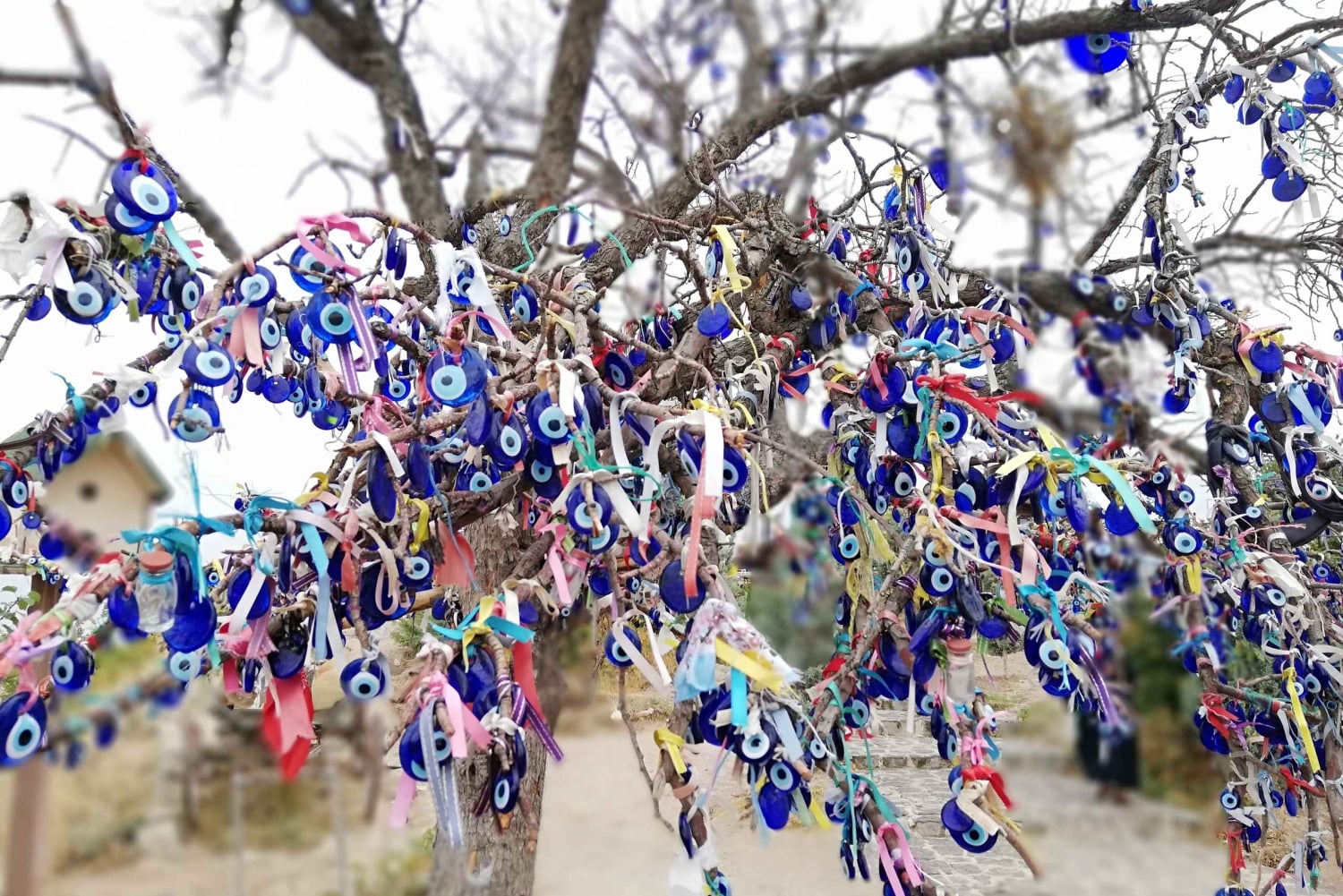 From Istanbul: Cappadocia Konya Pamukkale Ephesus 7 Nights