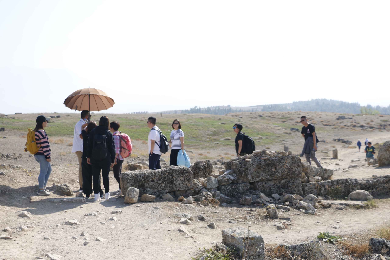 From Istanbul: Ephesus and Pamukkale 2-Day Trip