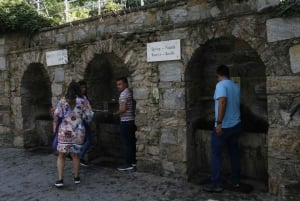 From Istanbul: Ephesus & Şirince Day Trip w/ Wine Tasting