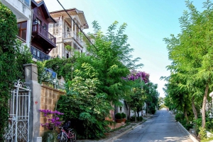 From Istanbul: Full-Day Princes Island Tour with Lunch