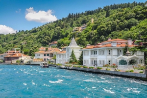 From Istanbul: Full-Day Princes Island Tour with Lunch