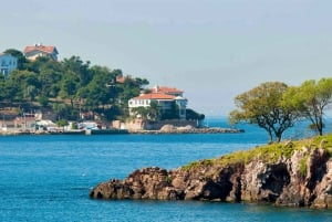 From Istanbul: Full-Day Princes Island Tour with Lunch