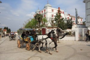 From Istanbul: Full-Day Princes Island Tour with Lunch