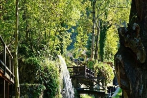 From Istanbul: Full Day Private Sapanca & Masukiye Tour