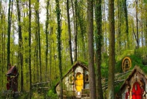 From Istanbul: Full Day Private Sapanca & Masukiye Tour