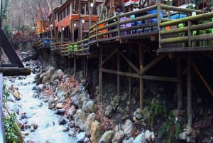 From Istanbul: Full Day Private Sapanca & Masukiye Tour