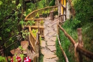 From Istanbul: Full Day Private Sapanca & Masukiye Tour