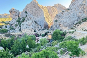 From Istanbul: Göbekli Tepe & Mount Nemrut 1 or 2 Day Tour