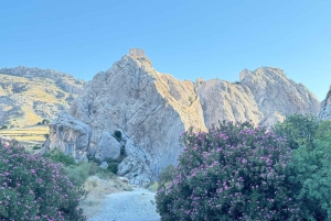 From Istanbul: Göbekli Tepe & Mount Nemrut 1 or 2 Day Tour