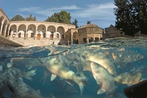 From Istanbul: Göbeklitepe Day Trip with Return Flights