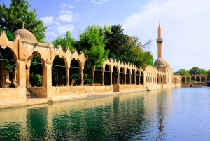 From Istanbul: Göbeklitepe Day Trip with Return Flights