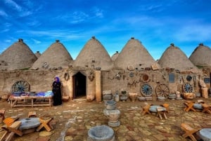 From Istanbul: Göbeklitepe Day Trip with Return Flights