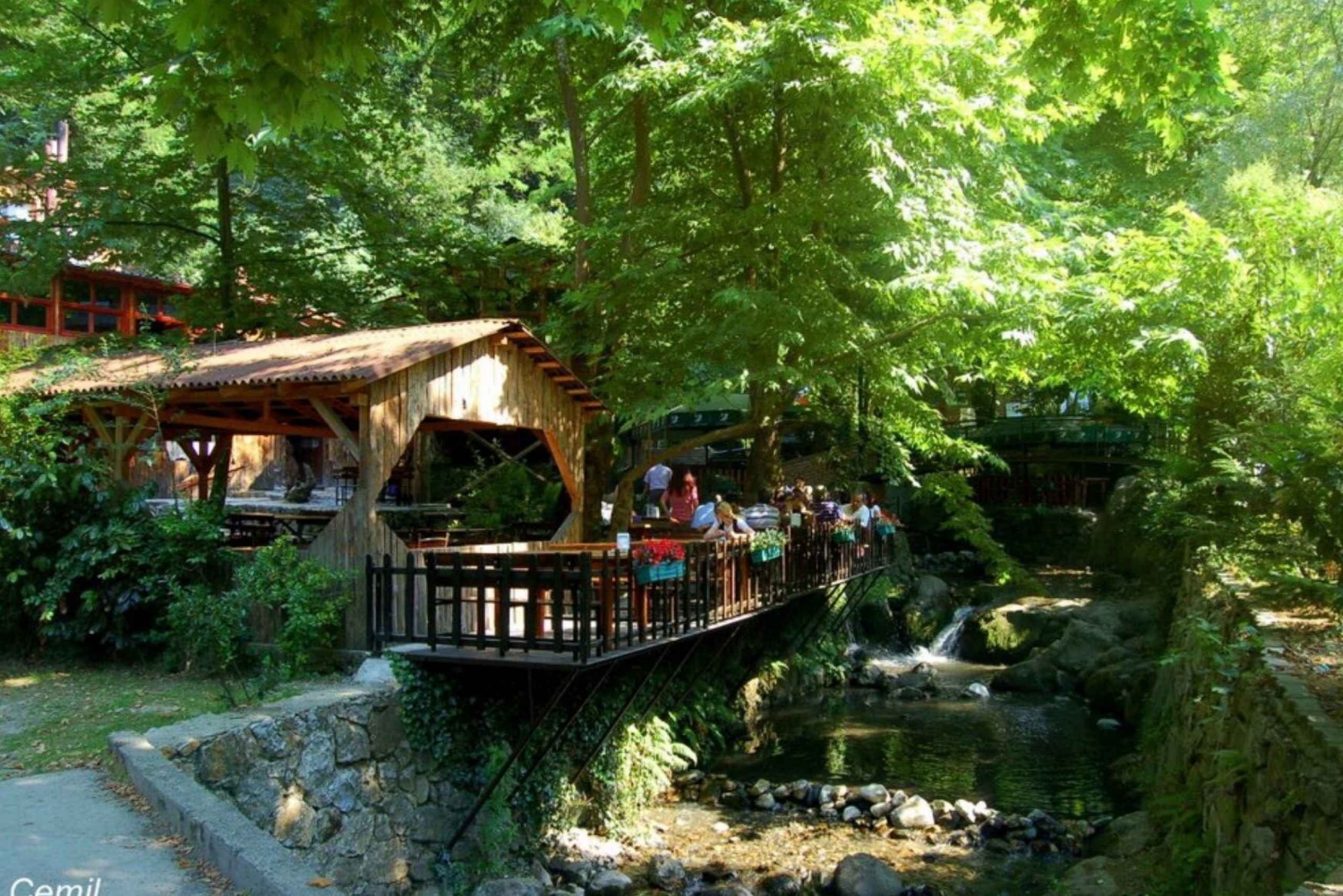 From Istanbul: Guided Day Trip to Sapanca and Masukiye