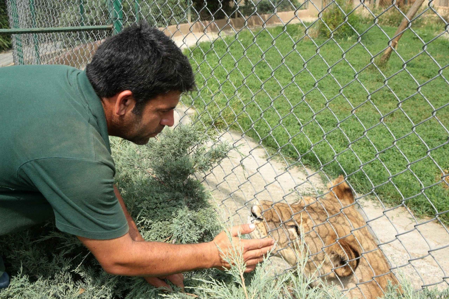 From Istanbul: Guided Day Trip to Sapanca and Masukiye