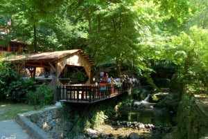 From Istanbul: Guided Day Trip to Sapanca and Masukiye