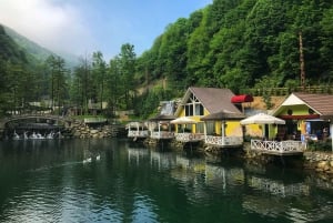 From Istanbul: Guided Day Trip to Sapanca and Masukiye