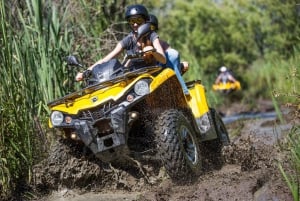 From Istanbul: Guided Day Trip to Sapanca and Masukiye