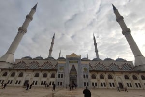 Istanbul: Explore Europe and Asia by Guided Bus and Boat
