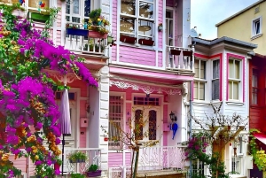 From Istanbul: Princess Islands Guided Day Trip by Ferry